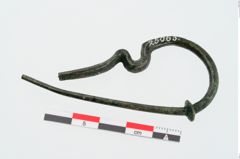 Foto von Bronzeschlangenfibel (NHMW-PRAE-025063)